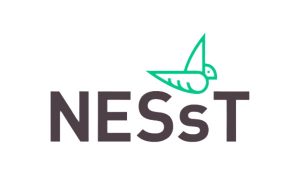 Nesst
